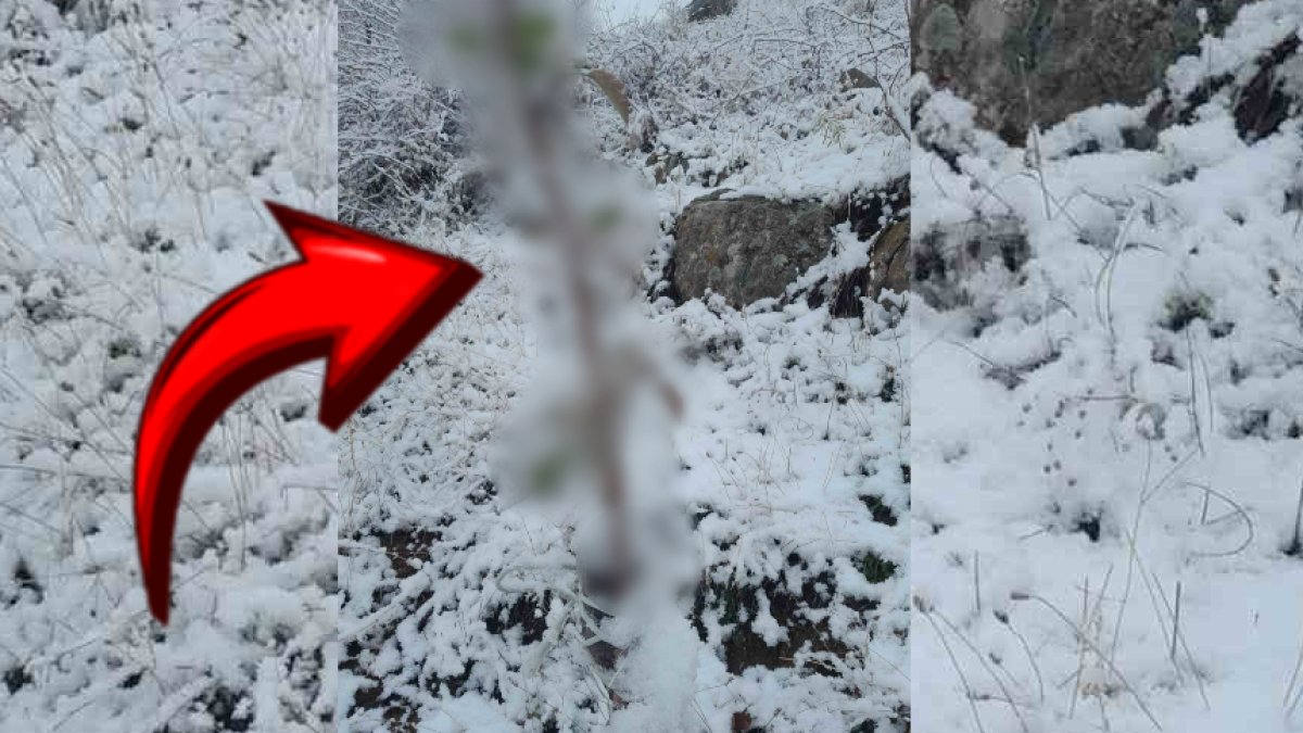 Böylesi ilk kez oluyor! Karın altında, o ilimizde... Kıyamet alameti denildi