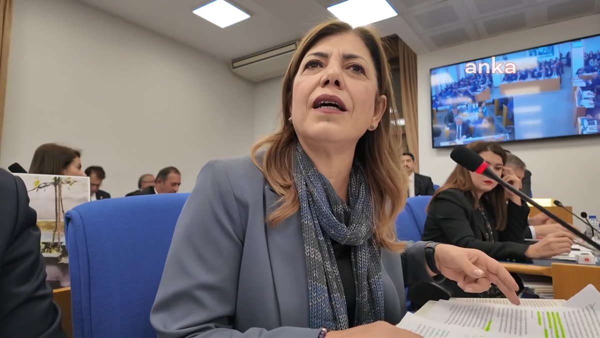 DEM Partili Beştaş'tan 'Umut Hakkı' çağrısı: Yargı neden direniyor?