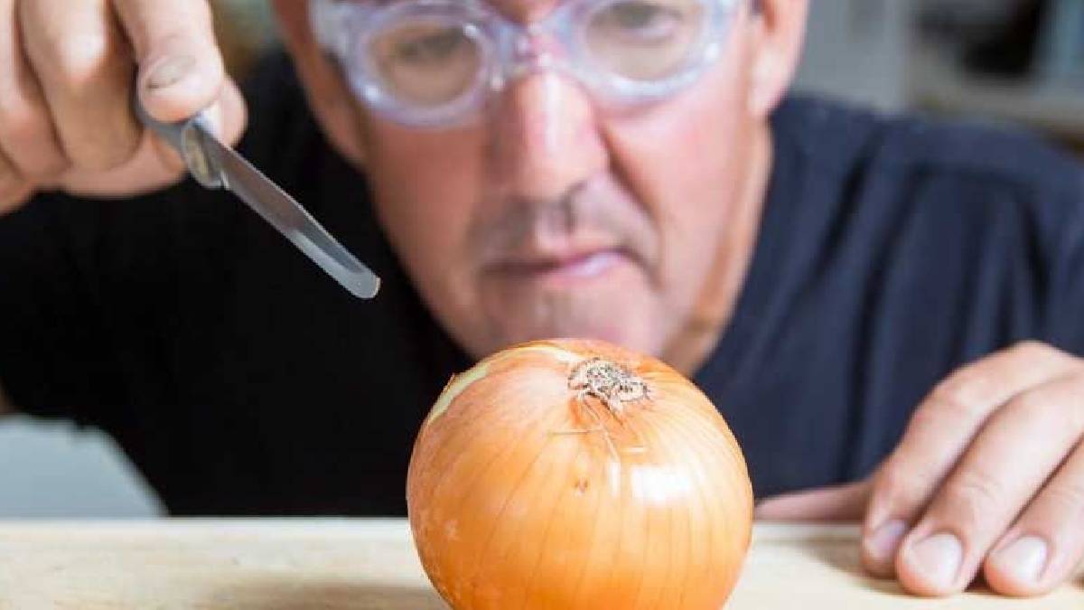 Yemek ve salataların olmazsa olmazıydı! Eksik etmiyorduk zararlı çıktı: Eklerken bir kere daha düşünün