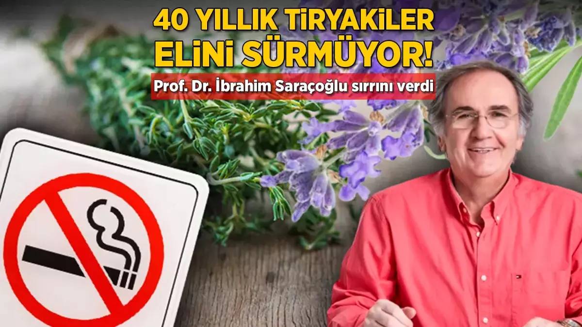 Sigarayı bıraktıran kür: Prof. Dr. İbrahim Saraçoğlu canlı yayında önerdi: Nikotinden tiksindiriyor!