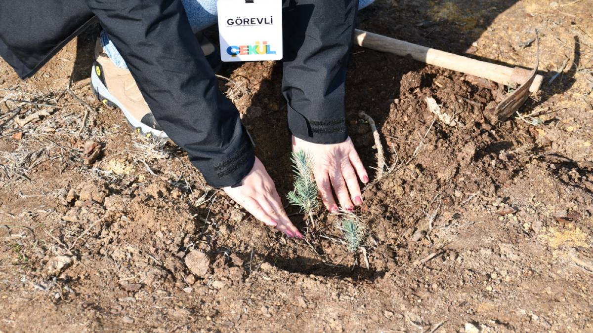 100. Yıl Ormanı geleceğe nefes olacak