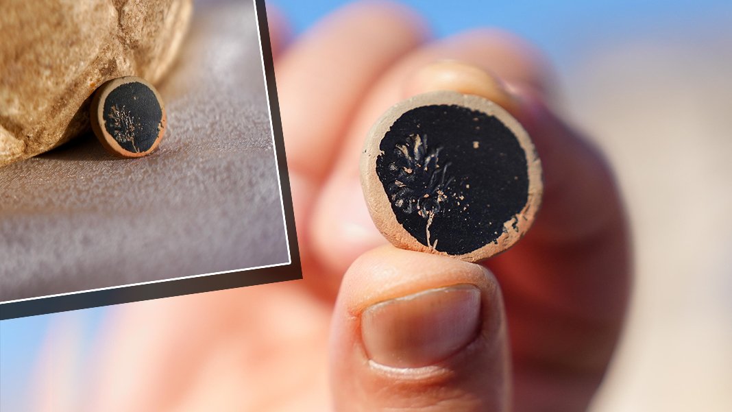 Konuralp'taki kazılarda 2 bin yıllık tiyatro bileti