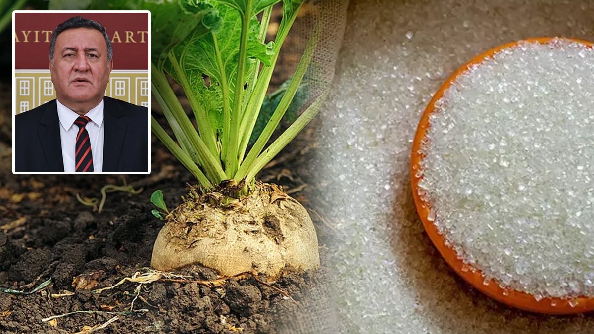 Yılın ilk 10 ayında 145 bin ton şeker ithal edildi... CHP'li Gürer: Neden şeker pancarı ekimi artırılmıyor?