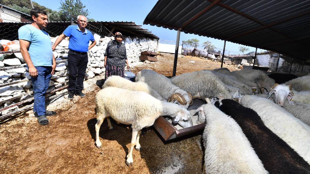 İzmir Büyükşehir Belediyesi çiftçiye umut oldu