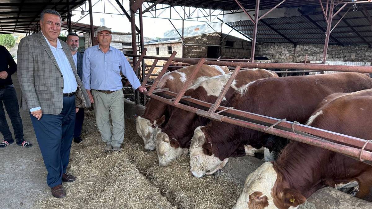 CHP'li Gürer, 'hayvanlardan bulaşan hastalıkları' Sağlık Bakanı'na sordu: 'Zoonotik hastalıklara ilişkin vaka sayısı 50 bin'