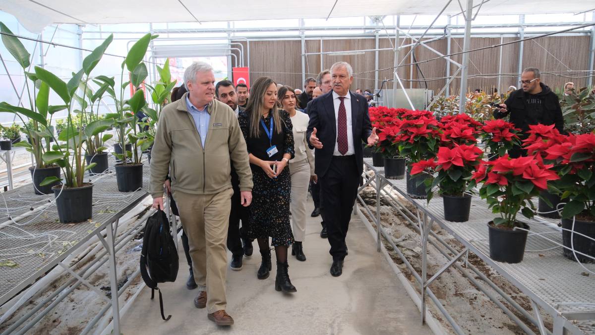 Göçmen ve yerel 111 kadının çalışacağı serada, 70 çeşit süs bitkisi üretilecek
