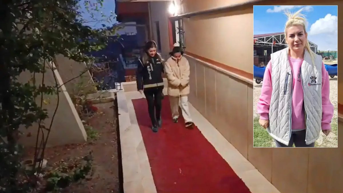 Sokak hayvanları adına toplanan bağışlarla büyük vurgun: Dernek başkanı Buket Özgünlü ve 2 kişi tutuklandı