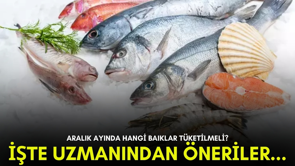 Taze taze tüketin! Aralık ayında hangi balıklar yenilir? Hem lezzeti hem faydası fazla