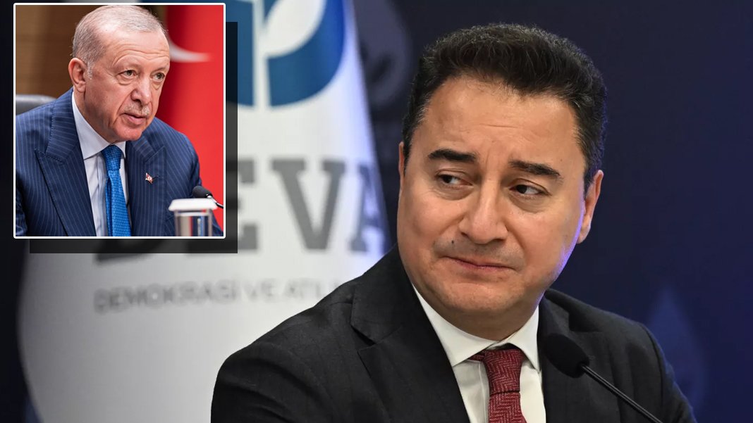 Babacan’dan Erdoğan'ı protesto eden gençlerin tutuklanmasına tepki: Nehirden denize özgür Filistin demek suç değil