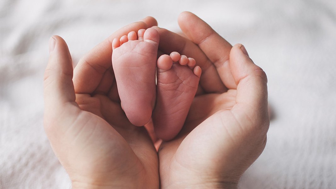 Ebeler hamilelik aşamalarında aktif görev alacak