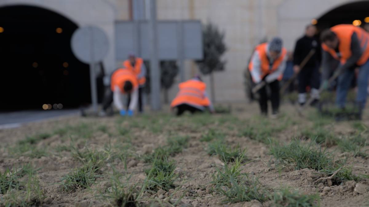 Kuraklığa karşı İzmir’in yeşil örtüsünde dönüşüm