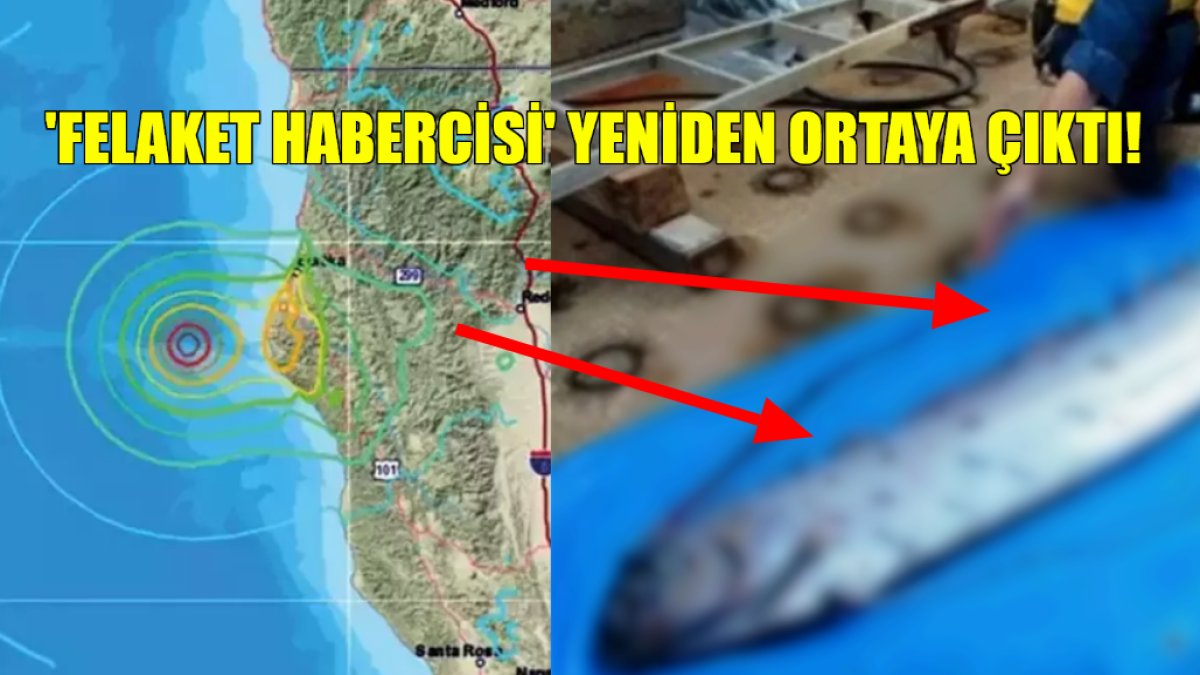 'Felaket habercisi' balık yine sahillerde: Ortaya çıktı ve 7 şiddetinde yine deprem oldu: Herkes şokta