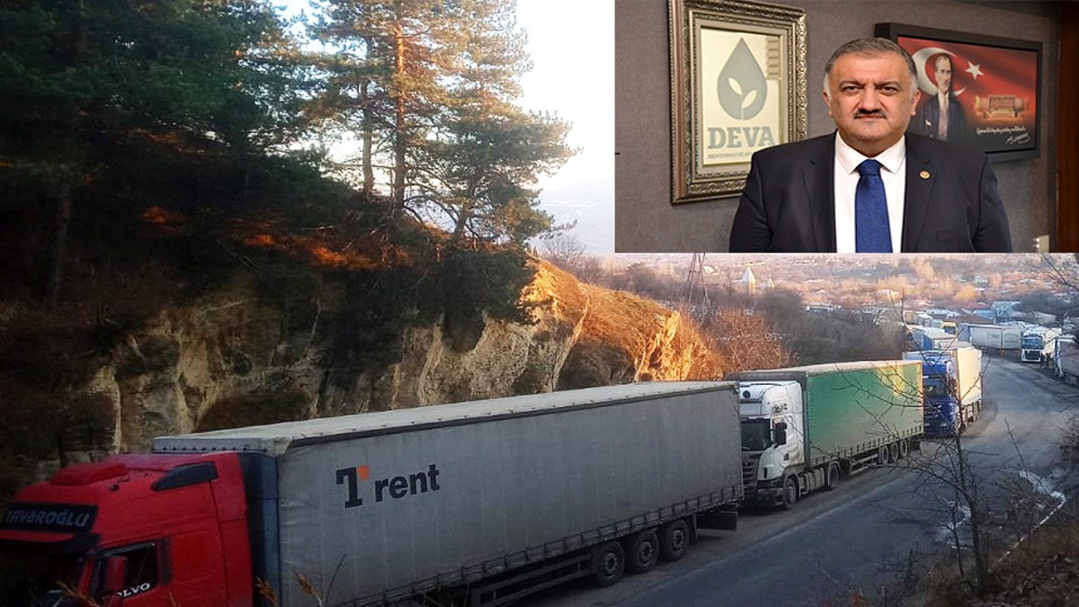 Deva Partili Karal, TIR şoförlerinin mağduriyetini Meclis gündemine taşıdı