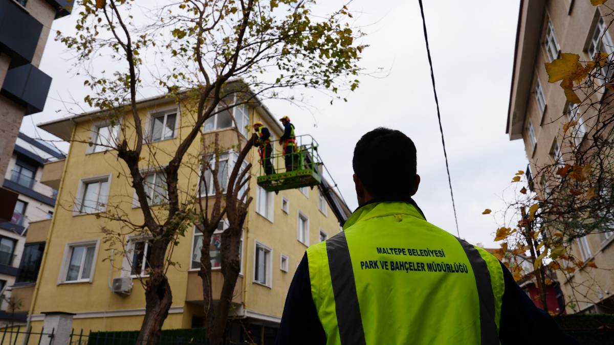 Maltepe’de ağaçların budanmasına başlandı