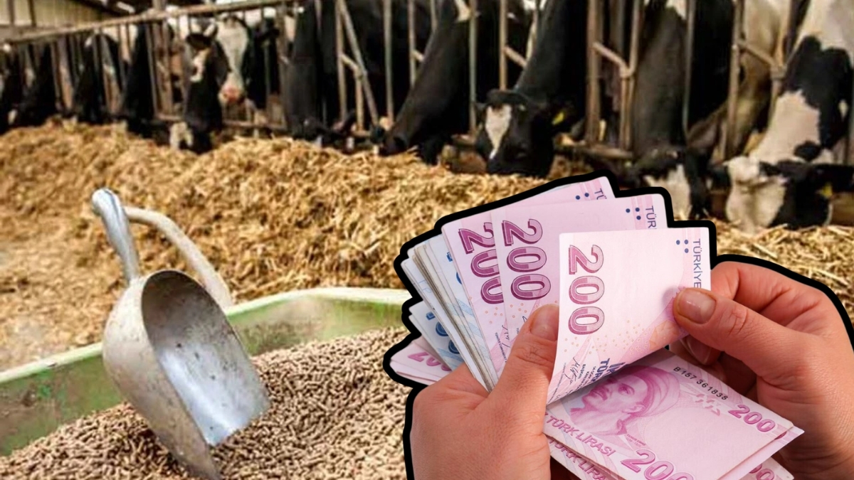 Yem fiyatlarına zam geliyor! Fiyatlar kara kara düşündürecek: İşte güncel yem fiyatları