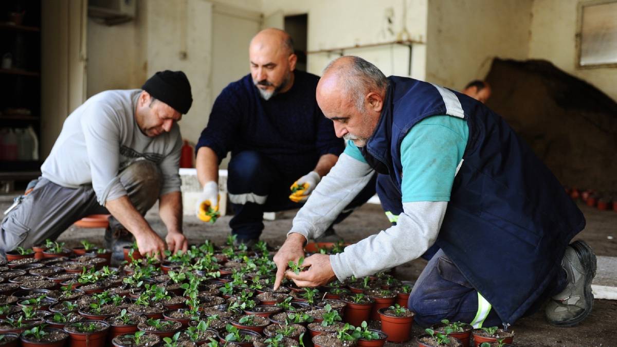 Karşıyaka’nın serasında çiçekler açıyor