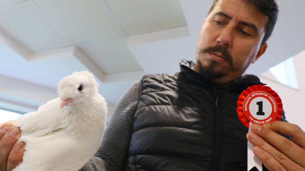 Her biri servet değerinde! Fiyatı 1 milyon liraya kadar çıkıyor: 81 ilden Antalya'ya akın başladı