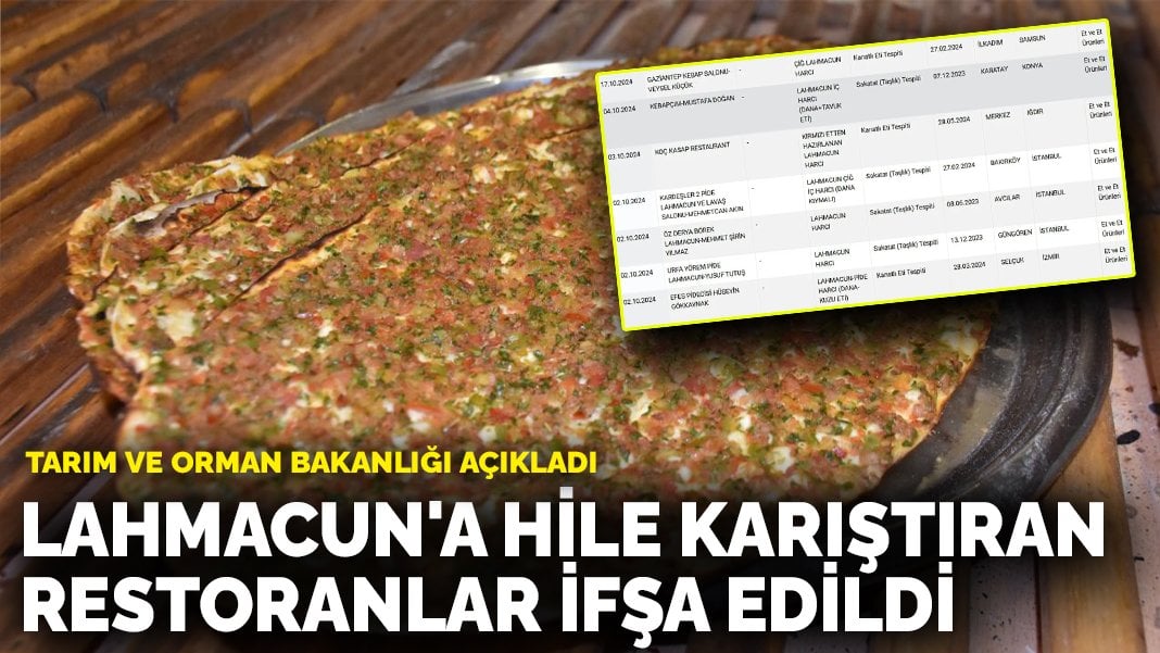 Tarım ve Orman Bakanlığı açıkladı: Lahmacun'a hile karıştıran restoranlar ifşa edildi