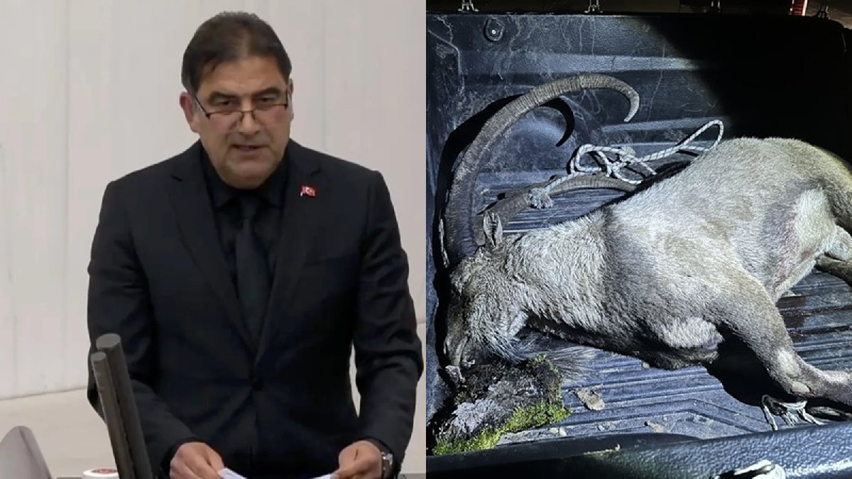 Milletvekili koruma altındaki yaban keçisini avlarken yakalandı... Ekipler 650 bin lira ceza kesti