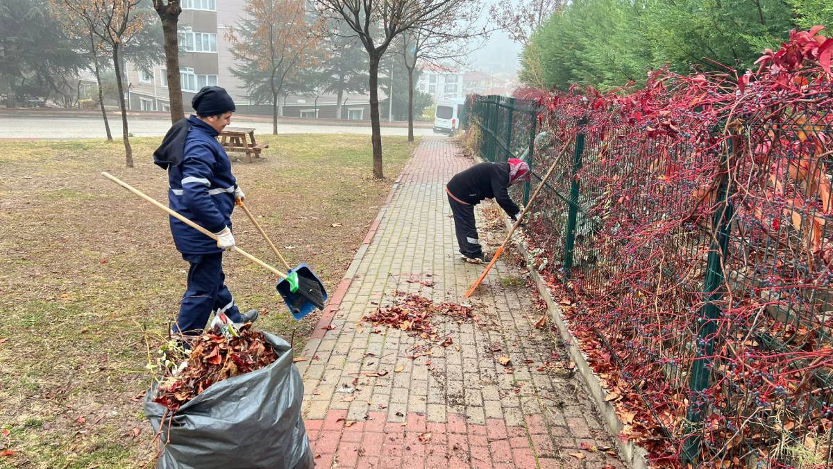 Park ve Bahçeler Müdürlüğünden kış mevsimi çalışmaları