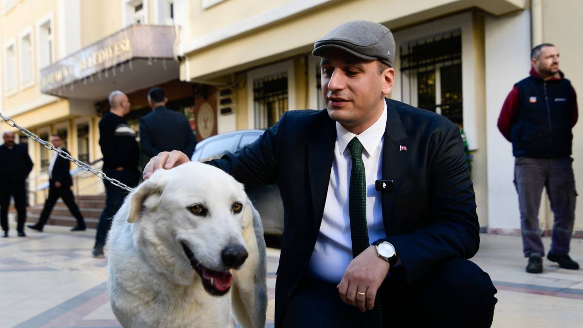 Sokak Köpeği Paşa’ya sıcak bir yuva
