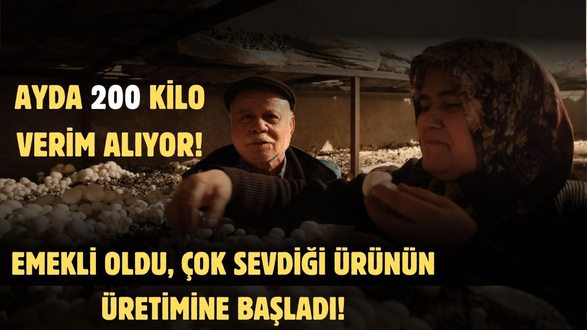 Yapma etme diyenleri dinlemedi, emekli olunca bu işe başladı! Her ay kilolarca topluyor, paraya para demiyor