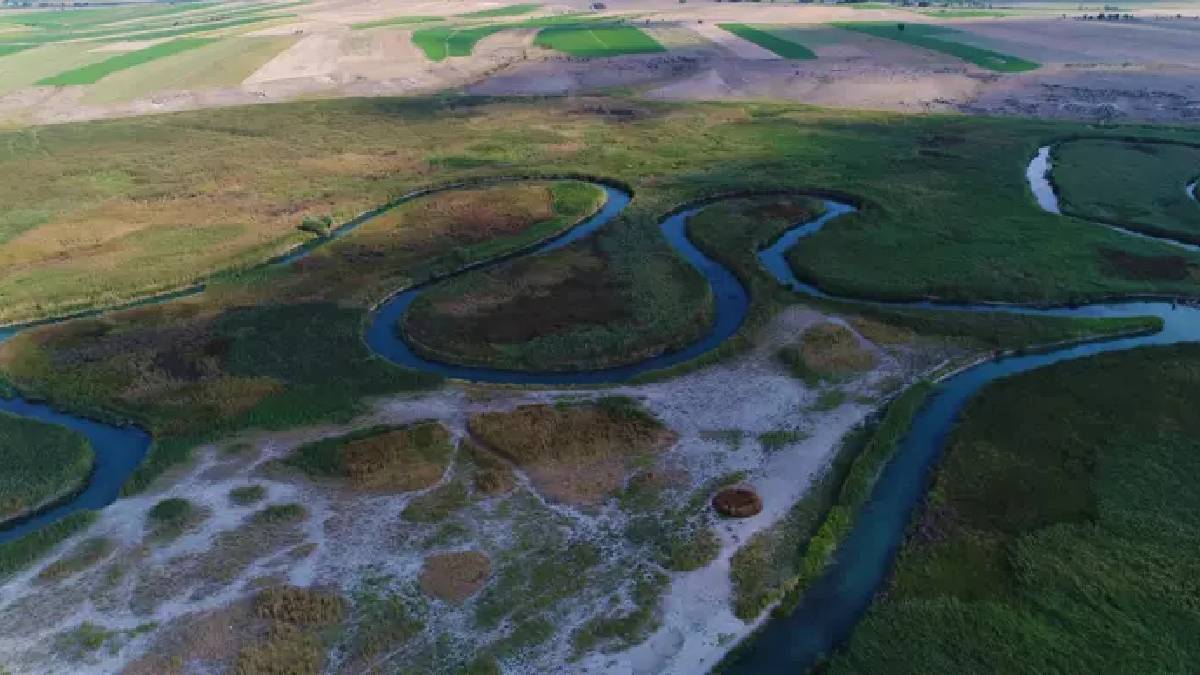 Burası Türkiye'nin Amazonu! Ne Karadeniz ne Ege'de... İç Anadolu'nun gizli cenneti