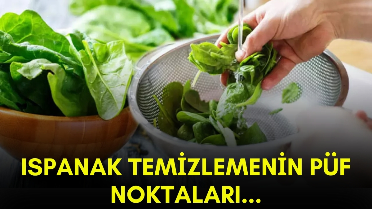 Temizlemesi zor diye yemeyenler müjde! Ispanak temizlemek hiç bu kadar kolay olmamıştı: İşte ıspanak temizlemenin püf noktaları…