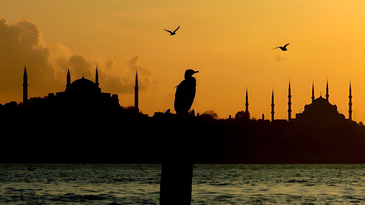 Dünyanın en iyi şehirleri listesinde İstanbul'un yeri şaşırttı! 30 ülkeden on binlerce kişi dev anketle belirledi