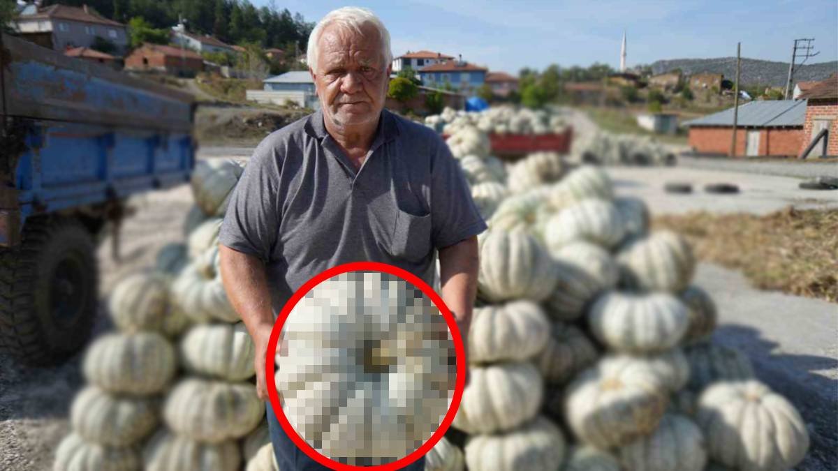 25 yıl önce denemek için ekildi, 40 şehrin gözdesi oldu! 1 yıl boyunca bozulmadan duruyor, herkes buradan almak istiyor