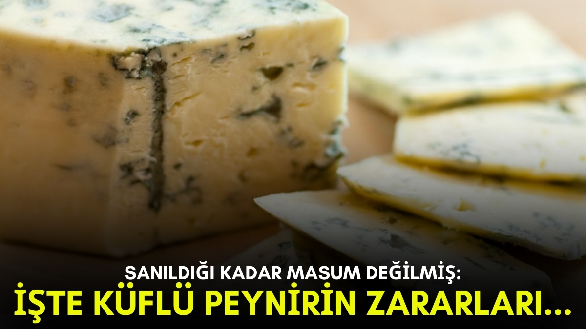 Yıllardır sağlıklı diye tüketiliyordu! Küflü peynir sanıldığı kadar masum değil: Yemeden önce bir daha düşünün
