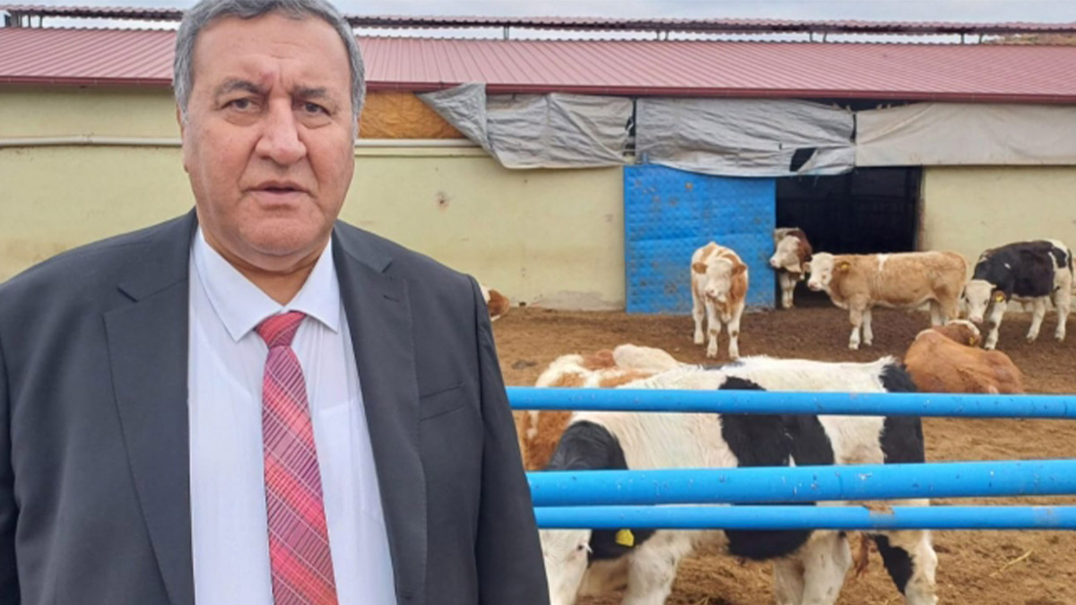 CHP'li Gürer: İthal et raftaki fiyata çözüm getirmiyor... Emekli ve asgari ücretli geliri et tüketmeye yetmiyor