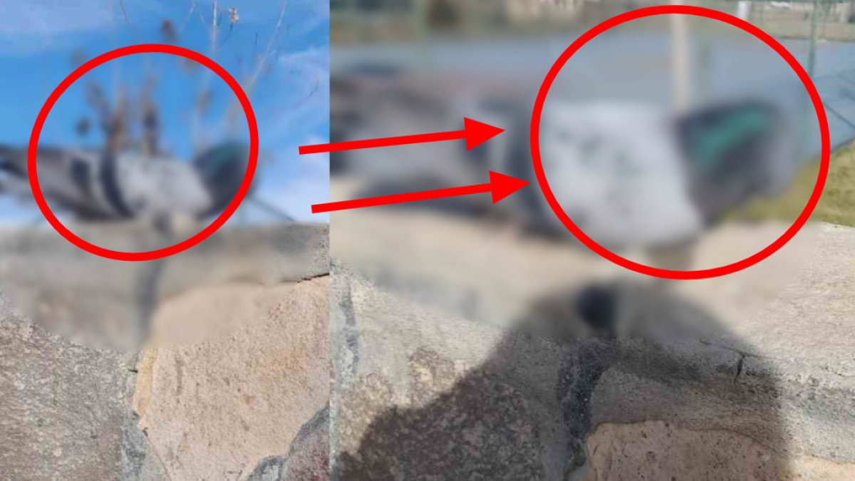 Kışın sert yüzü kendisini gösterdi! Görenler canlı sanıyor ama...