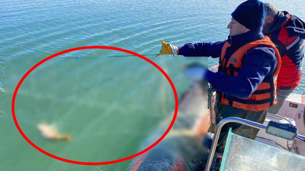 Çorum'daki barajda bulundu: Tam 4 kilometre uzunluğunda!