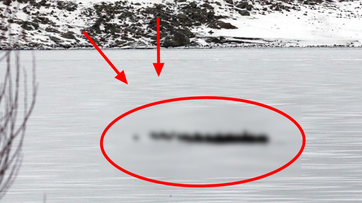 Çıldır Gölü'nde görüntülendi: Onlarcası bir arada...