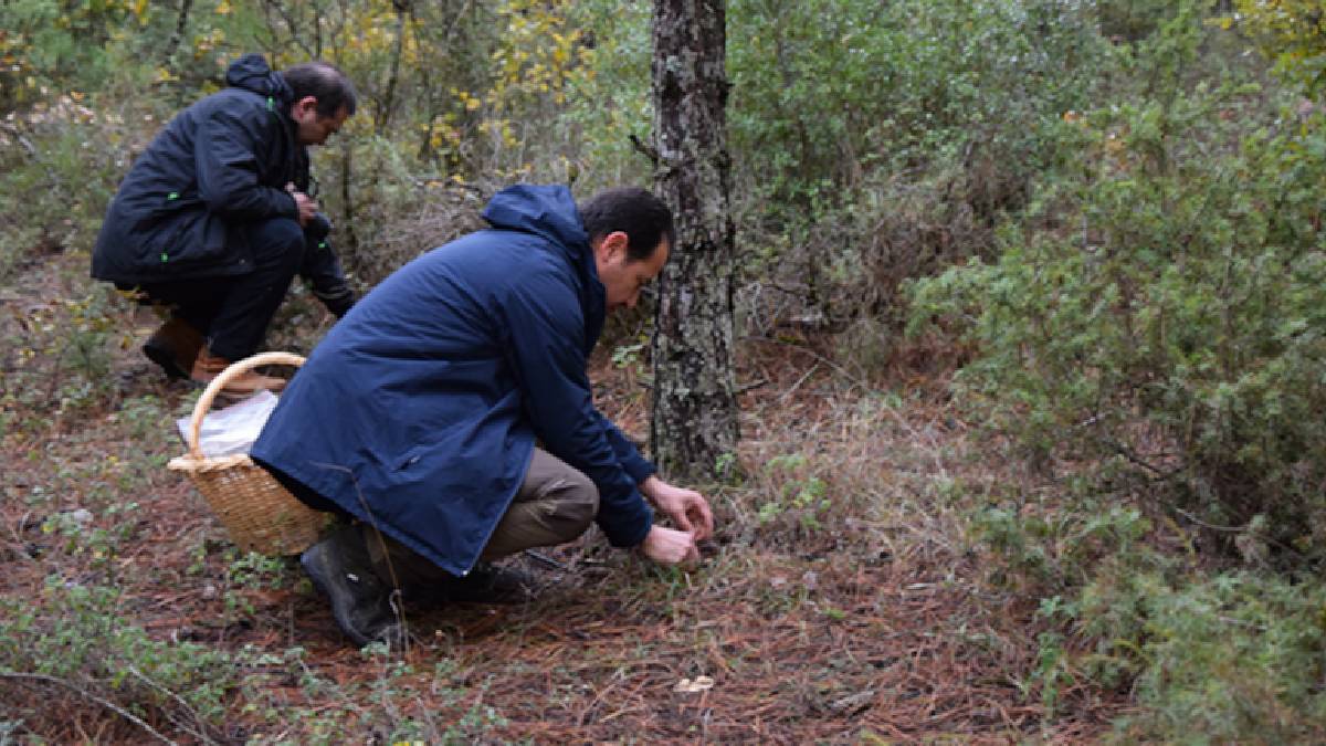O işe koyuldu herkes dalga geçti! Şimdi onlar da yapmak istiyor: Sadece 3 saatte 5.000 TL kazanıyor