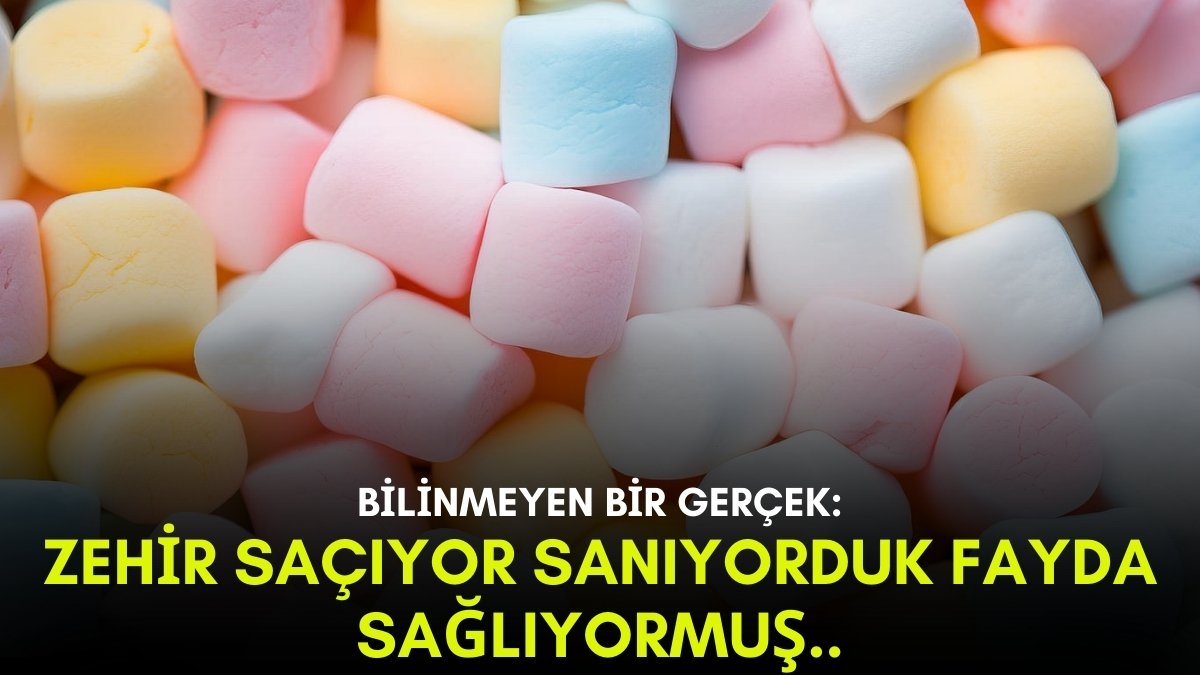 Çocukların severek tükettiği abur cubur meğer ilaçmış! Marketlerde bol bol var: Bu faydalarına şaşıp kalacaksınız