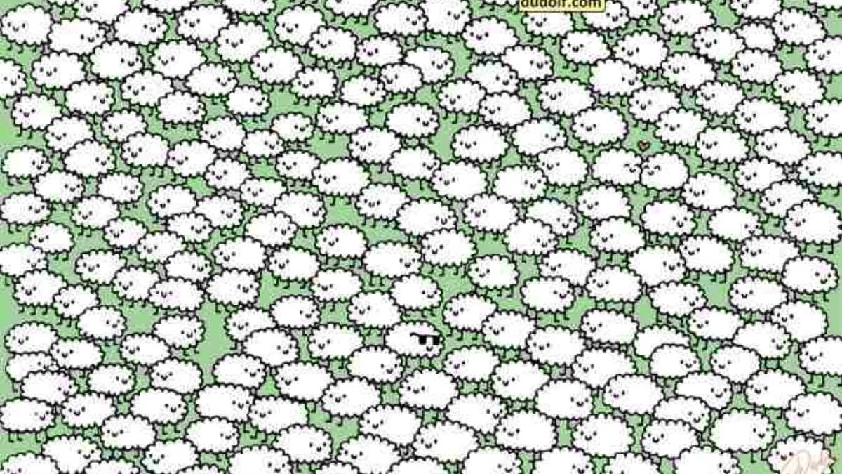 Büyük tabloyu kimse göremiyor! Deneyenlerin sadece %2’si fark ediyor