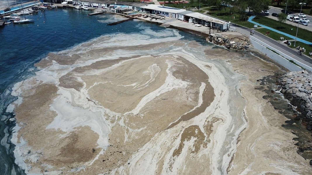 Marmara'da müsilaj felaketini tetikleyen sebep: En sorunlu üç bölge