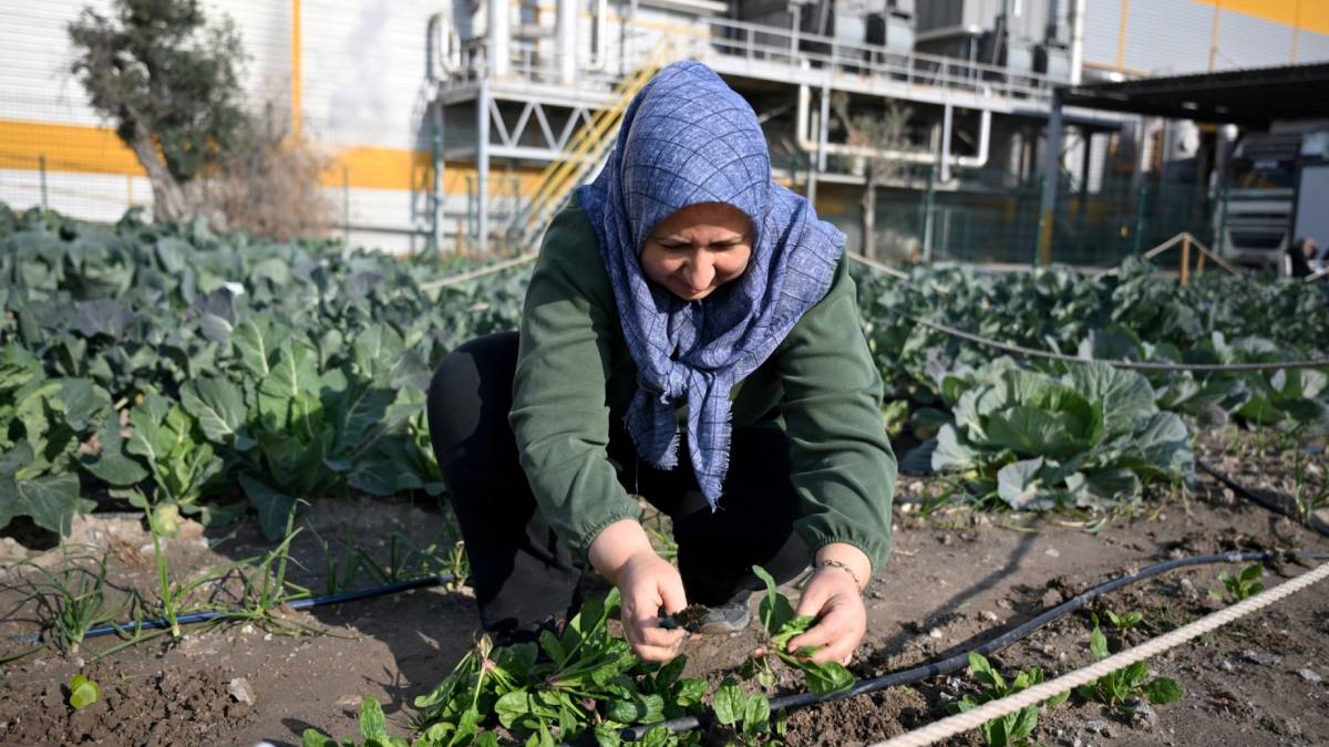 Kent Bostanı, kadınların elinde yeşerdi
