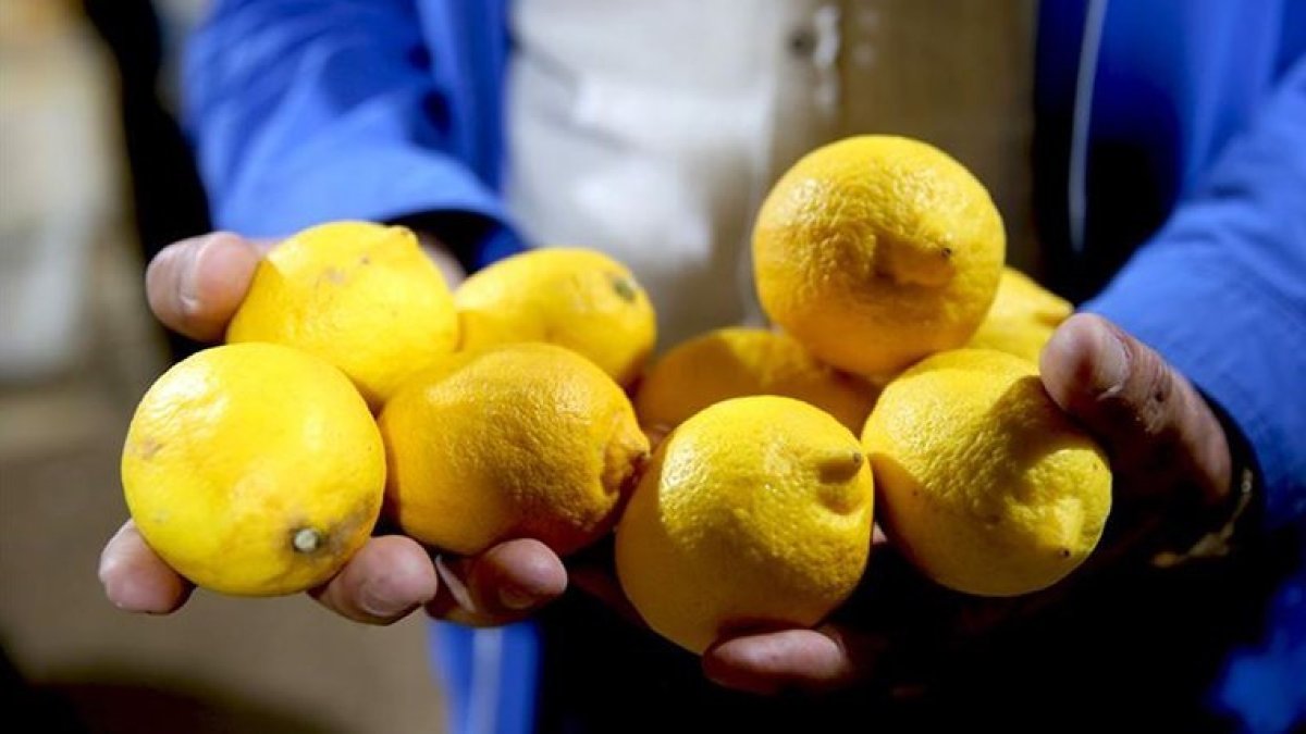 Türkiye'de 'pestisitli limon' krizi: Hepsi gümrükten geri döndü