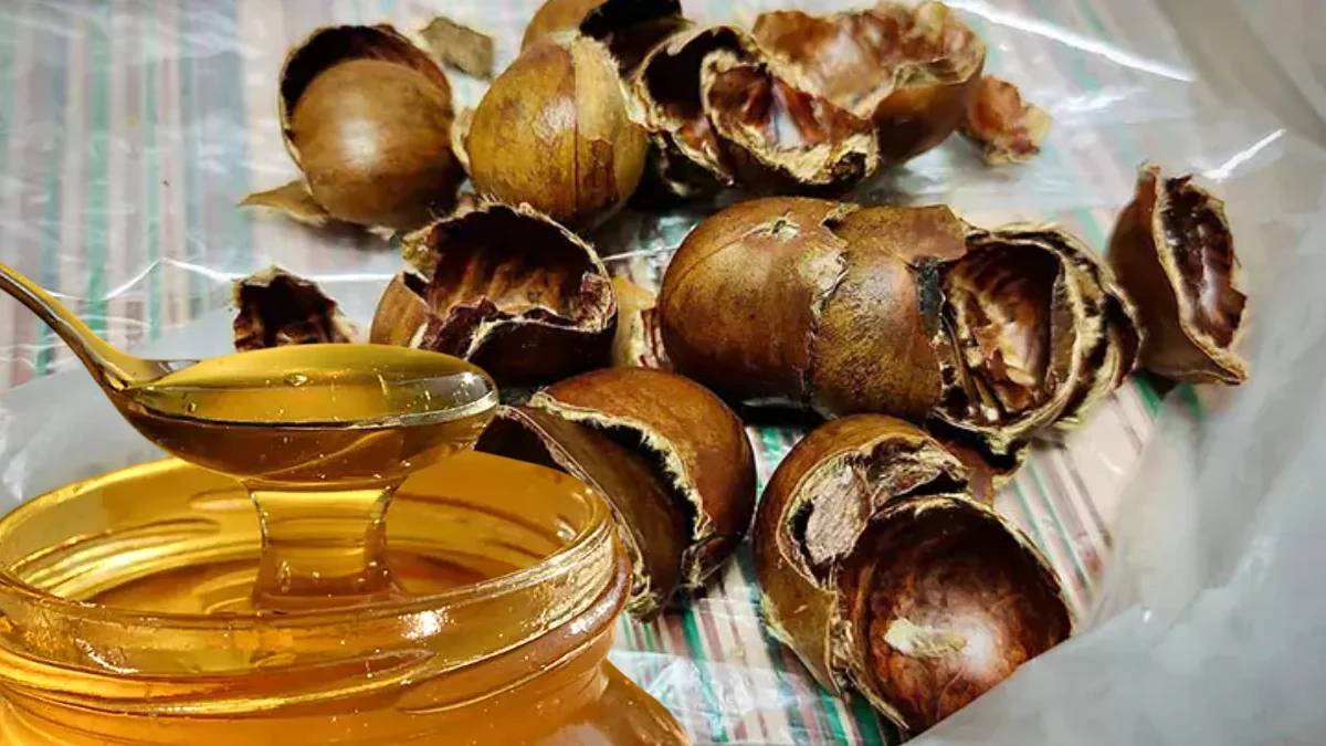 İştahsız çocukların iştahı açılacak! Kabuğunu balla karıştıran faydasını görüyor