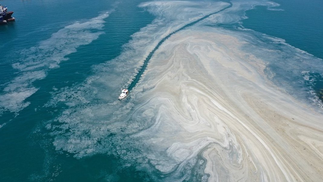 Tehlike giderek büyüyor: Marmara Denizi için bilim kurulu toplanacak