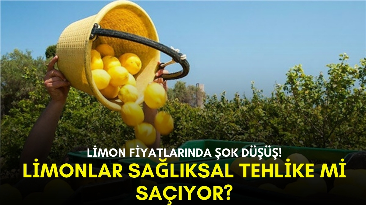AB ülkelerinden geri dönmüştü! Limon fiyatları 14 liraya kadar düştü: Herkesin aklında aynı soru var