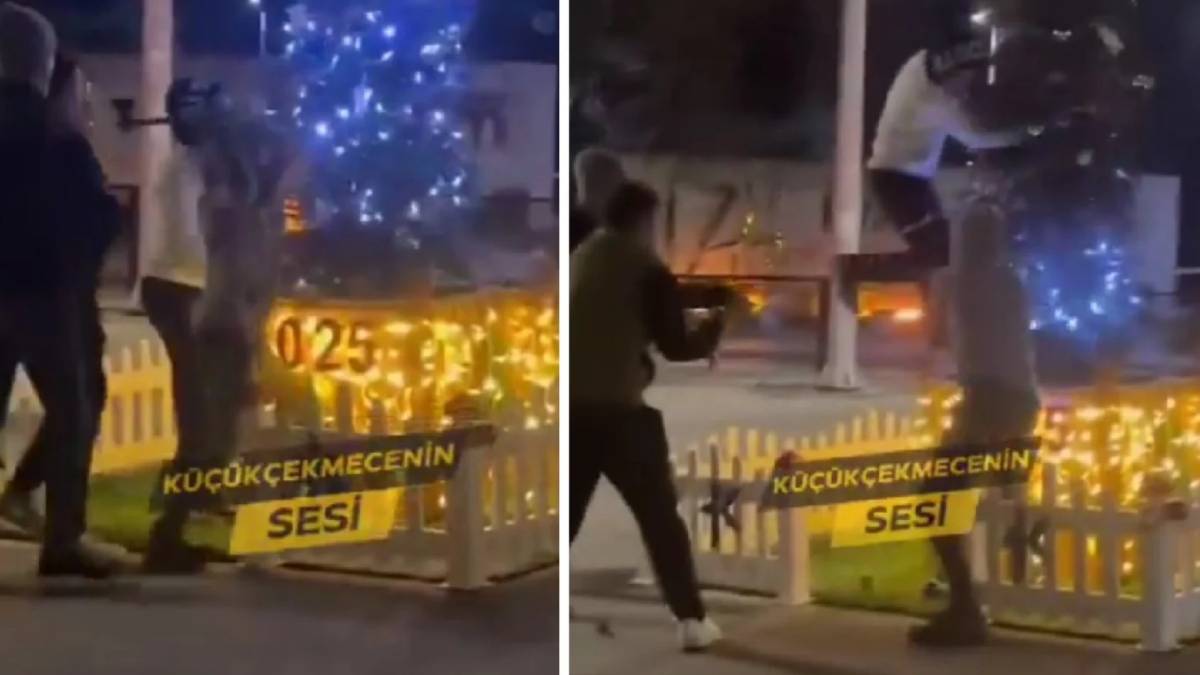 Küçükçekmece'de yılbaşı ağacına 'baltalı' saldırı