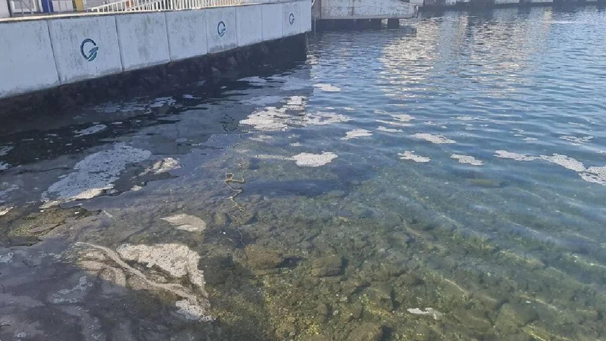 Çanakkale Boğazı'nda müsilaj tespit edildi