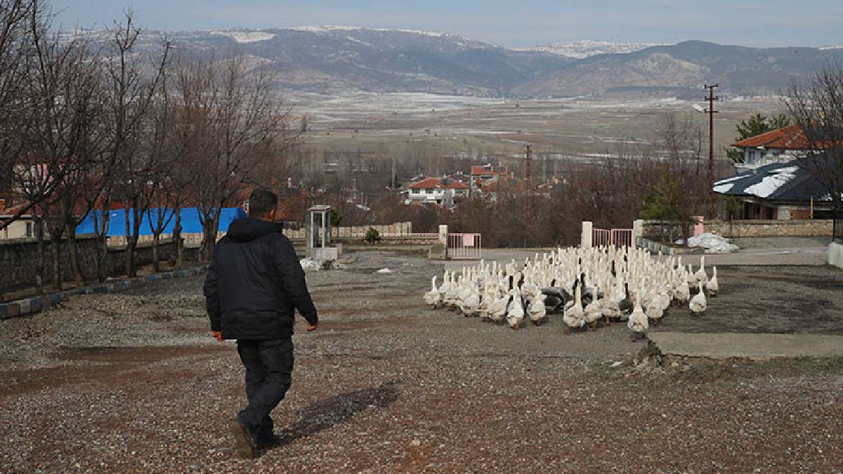Ankara'daki marketini satıp bu işe başladı şimdi siparişlere yetişemiyor! Kilosu 550 liradan Türkiye'nin her yerine gönderiyor