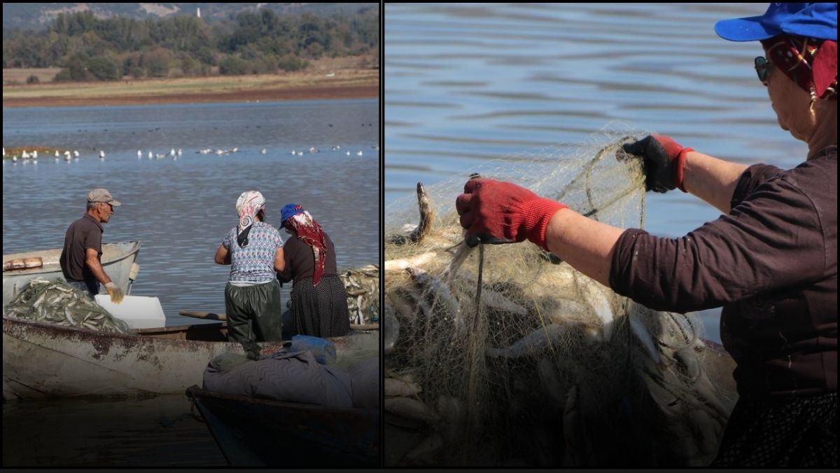 Burada kadınlar ağları atıyor, su altından bereket fışkırıyor! Eski mahallede mesai güneşle başlıyor: Toptancılar havada kapıyor