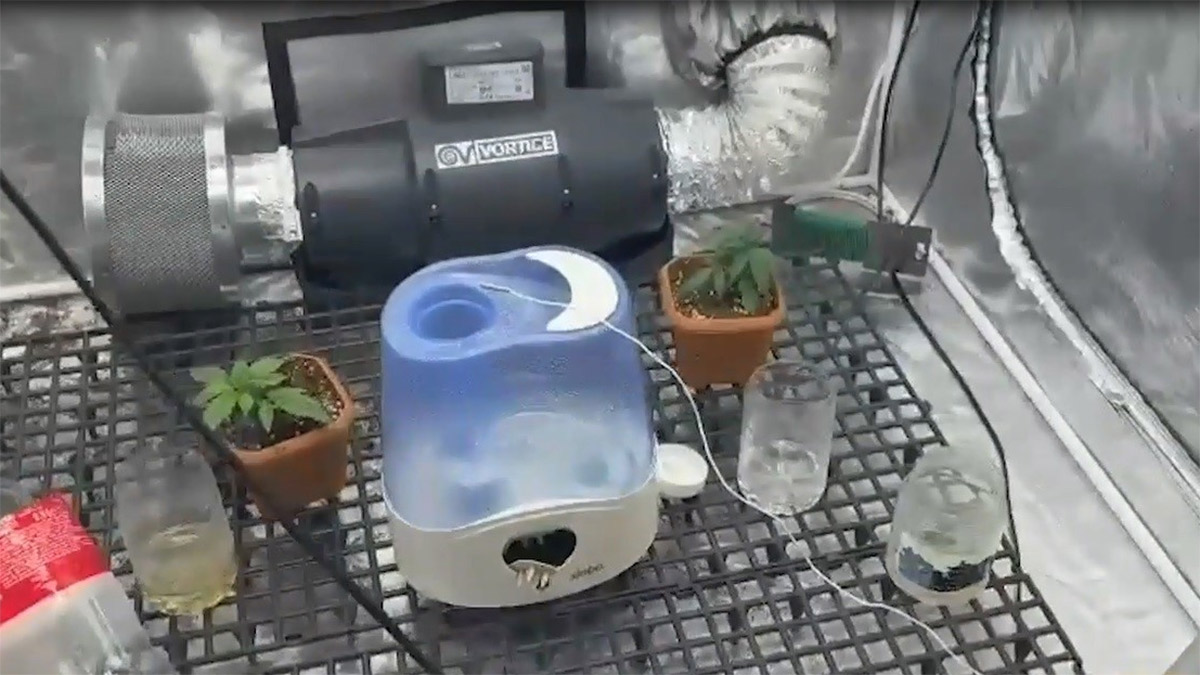 Edirne'de uyuşturucu operasyonu: Evine düzenek kuran zanlı tutuklandı