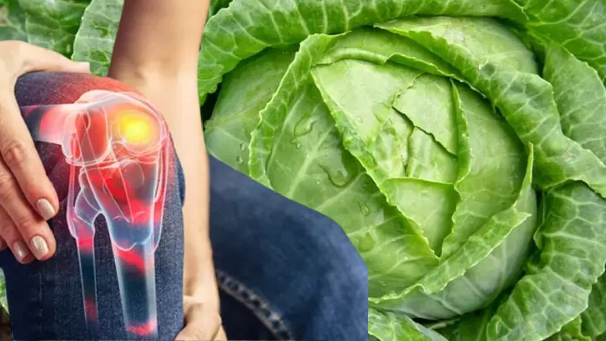 Yaprağını ısıtıp ağrıyan yere sarın! Resmen doğal ağrı kesici, bel ağrılarını şıp diye bitiriyor